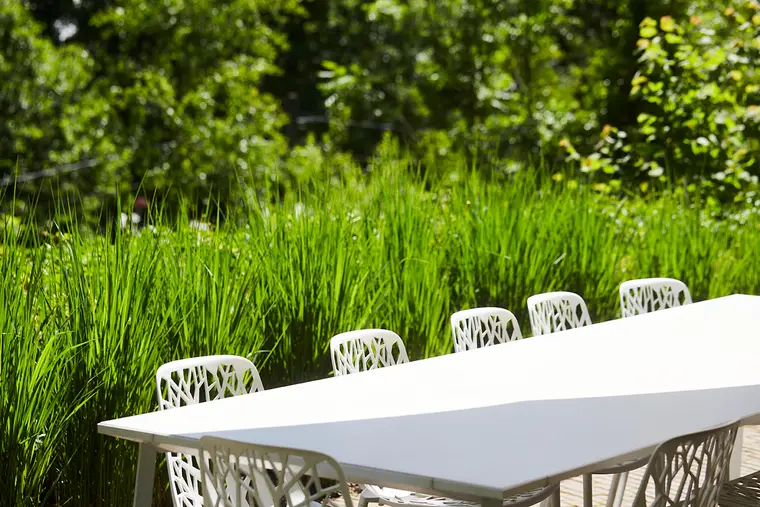 La grande table dans les herbes hautes