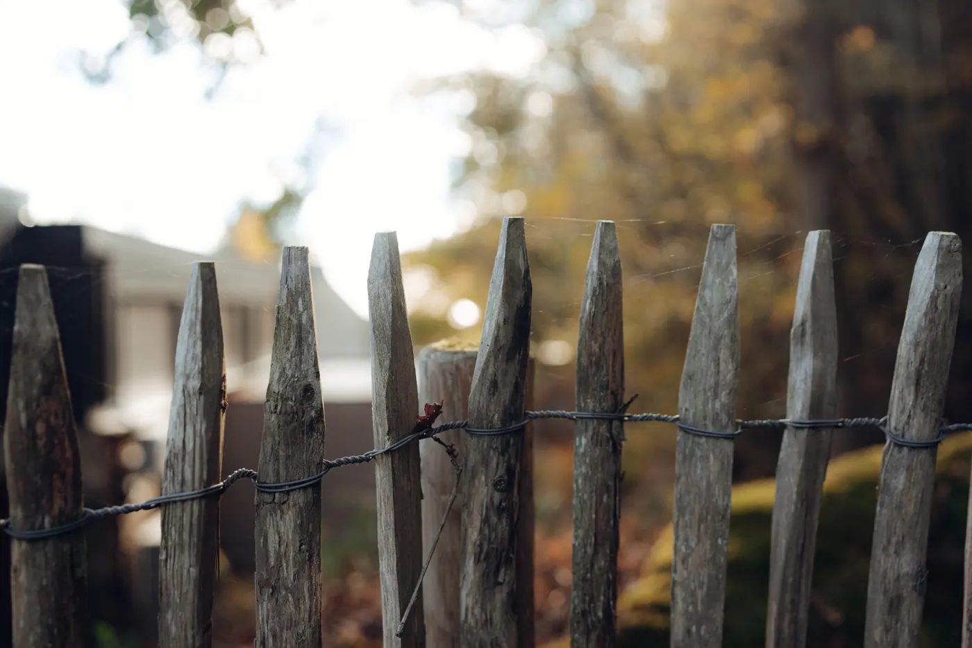 Une clôture en bois dans la lumière d’automne