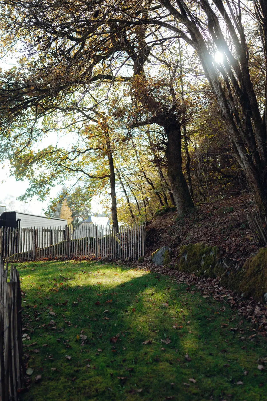 Le jardin au soleil d’automne